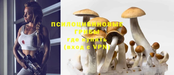 твердый Рославль