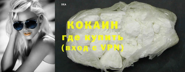 прущие грибы Россошь