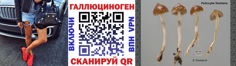 Псилоцибиновые грибы ЛСД Прохладный