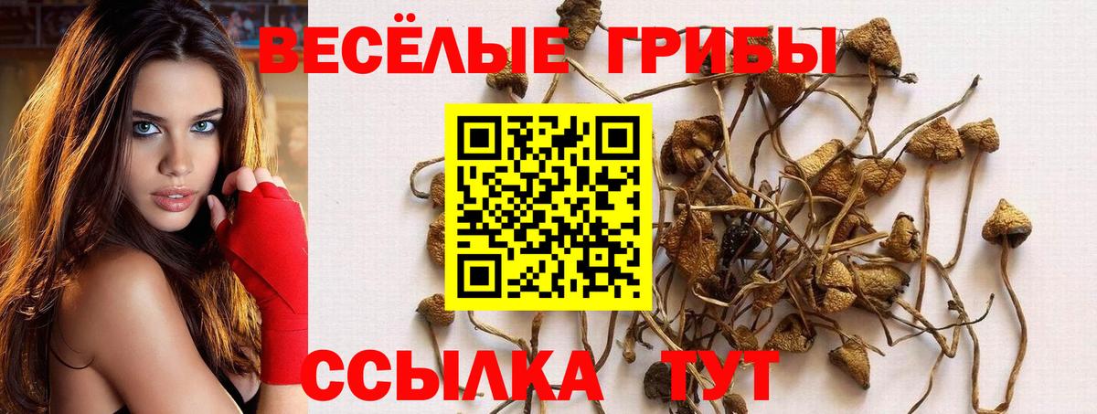 Галлюциногенные грибы MAGIC MUSHROOMS Прохладный